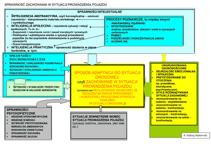 schemat zachowania w sytuacji prowadzenia pojazdu