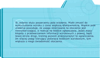 opis do ćwiczenia pole widzenia